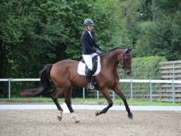 IMG_0288_web